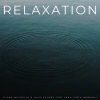 White Noise Radiance、Meditation King、Piano and Rain - Symphony of Rains