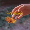 冯鑫阳 - 不会再痴迷