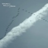 Virginio Aiello - Birds