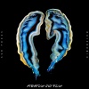 Sub Focus、Dimension - Ready To Fly (NGHTMRE Remix)
