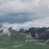 代泽颖 - 远方 (我随着花儿摇晃)
