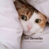 Lofiwaala、Relax My Kitten、Catching Sleep - Nighttime Drives