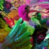 Flume、Caroline Polachek、Tourist - Sirens (feat. Caroline Polachek)(Tourist Remix)