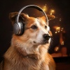Relieving Stress Music Collection、Dog Music Background Music、Dog Music Beats - Whisker Calm Beat