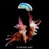Sub Focus、Hayla - I Found You