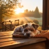 Lista de reproducción para la hora de la cena、Perro Dormido、Perro dormir - Los Perros Gentiles Del Bebé
