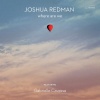 Joshua Redman、Gabrielle Cavassa - Streets Of Philadelphia