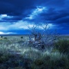 Klangphonics、Franky Klassen - Great Plains (Franky Klassen Remix)
