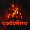 Marnik、Alfons - Cocorito (Extended Mix)