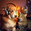 LoFi Hip Hop、Silent Pet Moments、World Pet Music - Musical Harmony for Pets