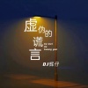 DJ辉仔、智慧baby - 虚伪的谎言