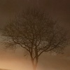 Spa Music Relaxation、SPA、Yoga - Andromeda Atmospheres