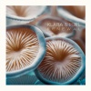 Klara、Purl - Journey to Oneself