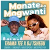 Masterpiece YVK、Thama Tee、LeeMckrazy、CowBoii、DJ Tshegu、Matuteboyrsa - Monate mogwanti 2.0 (feat. CowBoii, LeeMcKrazy, Matuteboyrsa & Masterpiece YVK)