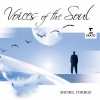 Sandrine Piau、ensemble instrumental de lausanne、La Chanson de Lausanne - Bach, JS: Mass in B Minor, BWV 232: Laudamus te