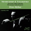Vienna Festival Orchestra、Victor Desarzens、Peter  Rybar - I. Allegro molto appassionato