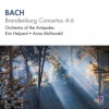Orchestra of the Antipodes、Antony Walker - 1. Allegro