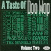 The Spaniels - Baby, It's You