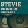 Stevie Wonder - When You Wish Upon a Star