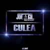 Joe & Gil、Dago Hernandez - Culea (Extended Mix)