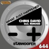 Chris David - What Just Happened