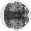 ishmael - Dejong