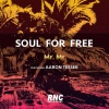 Soul For Free、Aaron Tesser - Mr. Mr.