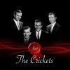 The Crickets - More Than I Can Say