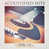 Acoustic Guitar Songs - Pinball Wizard (Acoustic Version|The Who Cover)