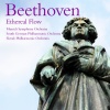 munich symphony orchestra、peter lang - I. Allegro con brio