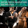 Slovak Chamber Orchestra、arto noras - I. Moderato