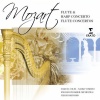 Samuel Coles、naoko yoshino、English Chamber Orchestra、Yehudi Menuhin - I. Allegro
