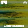 Sam Laxton - Lavinia (Deep House Mix)