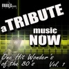 The Tribute Beat - Come on Eileen