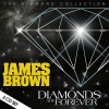James Brown - Papa's Got A Brand New Bag (Live)