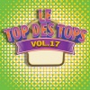The Top Orchestra - My Heart Will Go On