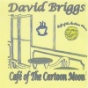 David Briggs - Hand Full of Fire