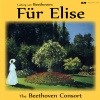 Beethoven Consort - I. Allegro Overture