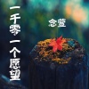 念萱 - 一千零一个愿望