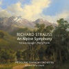 andrew davis、Melbourne Symphony Orchestra - Till Eulenspiegels lustige Streiche, Op.28 (Live)