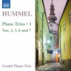 Gould Piano Trio - I. Allegro con moto
