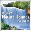 Relaxation、Sleep、Massage Therapy、Natural White Noise: Music for Meditation - Forest Stream, Soothing Waterfall, Distant Birds for Massage Therapy
