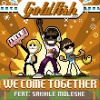 Goldfish & Blink - We come together (Fishy beat radio edit)