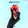 唐演 - 今天
