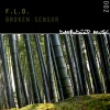 F.L.O. - Broken Sensor