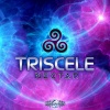 Triscele - Horses