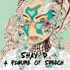 Shay D - The Who, What, Why