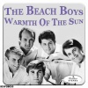 The Beach Boys - Fun, Fun, Fun (Mono)