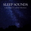 Ambient Sounds from I’m In Records - Rain, Crickets and Frogs (Part 01)