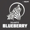 Jigante - Atlantico